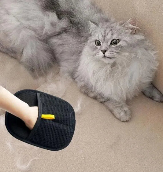 Pet Hair Removal Gloves – Remove Hair from Any Surface & Groom Your Pet